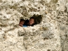 2011_eurocamp_ (250)