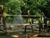 2011_eurocamp_ (84)